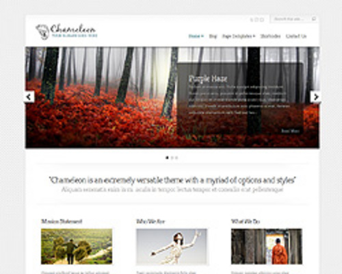 Product picture Chameleon WordPress Themes